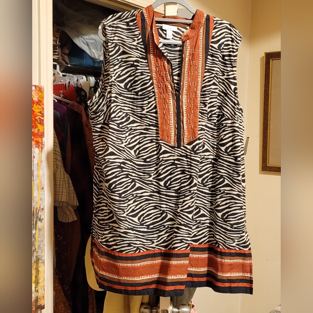 Lady's plus size Charter Club dress. Zebra stripes with rust trim